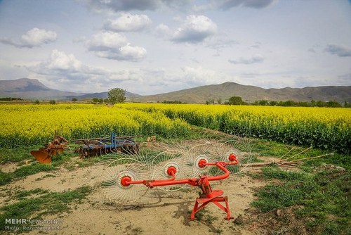 اخباراجتماعی ,خبرهای اجتماعی , مزارع کشاورزی اخبار اجتماعی ,خبرهای اجتماعی, مزارع کشاورزی