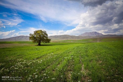   اخبار اجتماعی  ,خبرهای  اجتماعی, مزارع کشاورزی 