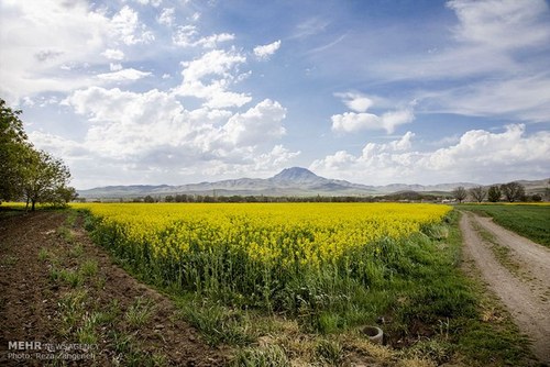   اخبار اجتماعی  ,خبرهای  اجتماعی, مزارع کشاورزی 