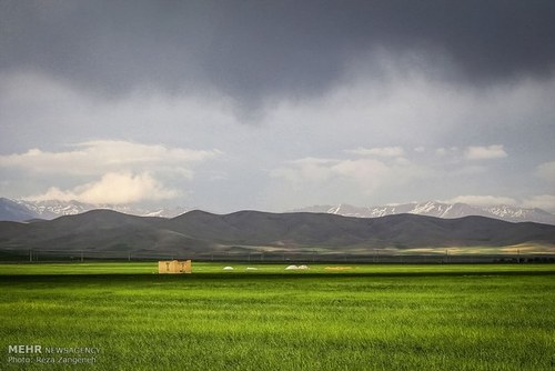 اخباراجتماعی ,خبرهای اجتماعی , مزارع کشاورزی اخبار اجتماعی ,خبرهای اجتماعی, مزارع کشاورزی