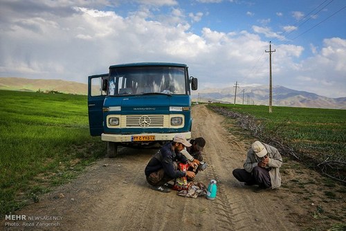   اخبار اجتماعی  ,خبرهای  اجتماعی, مزارع کشاورزی 