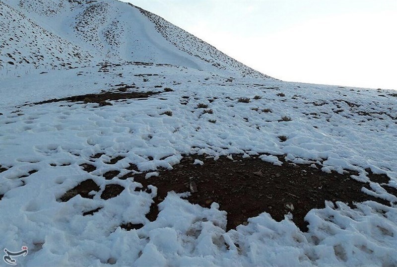   اخبار اجتماعی  ,خبرهای  اجتماعی,برف شهمیرزاد