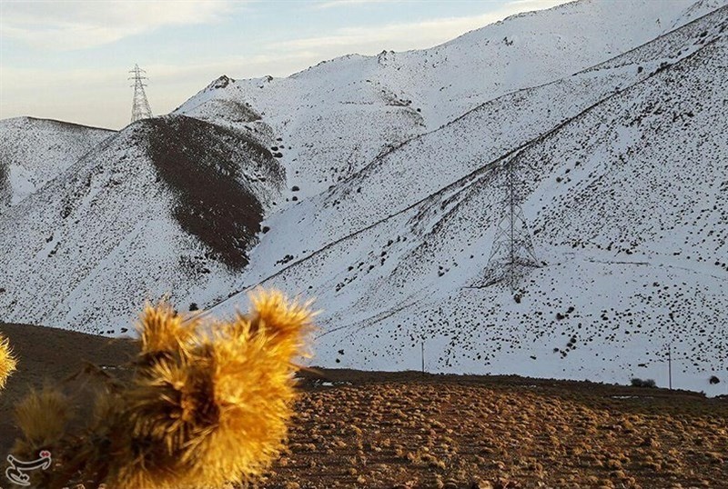 اخباراجتماعی ,خبرهای اجتماعی ,برف شهمیرزاد اخبار اجتماعی ,خبرهای اجتماعی,برف شهمیرزاد