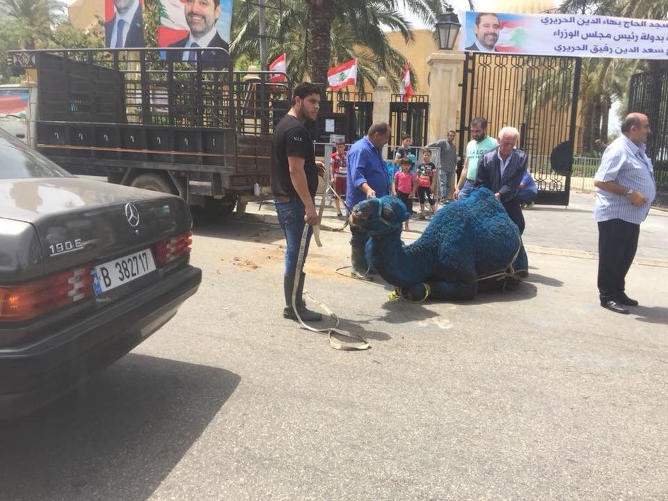 اخباربین الملل ,خبرهای بین الملل ,طرفداران سعدحریری اخبار بین الملل ,خبرهای بین الملل ,طرفداران سعدحریری