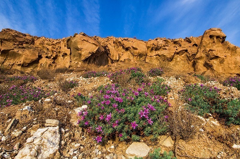 اخبارگوناگون,خبرهای گوناگون ,سازههای شگفتانگیز اخبارگوناگون,خبرهای گوناگون ,سازههای شگفتانگیز