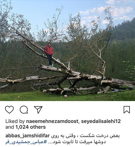 اخبار,اخبار فرهنگی,چهره‌ها در شبکه‌های اجتماعی