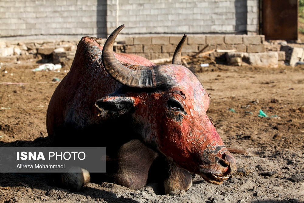 اخبارحوادث,خبرهای حوادث ,حوادث روز اخبار حوادث,خبرهای حوادث ,حوادث روز