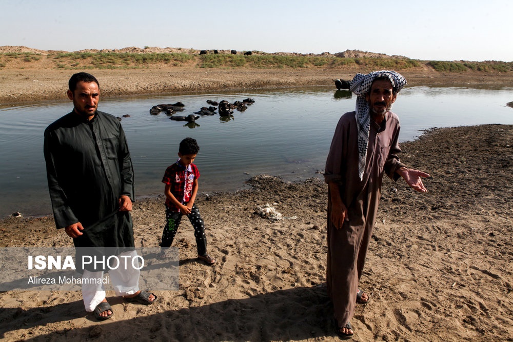  اخبار حوادث,خبرهای حوادث ,حوادث روز