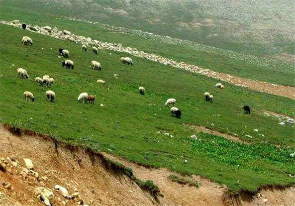 اخباراجتماعی ,خبرهای اجتماعی , مراتع ایران اخبار اجتماعی ,خبرهای اجتماعی, مراتع ایران