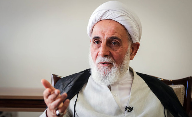 اخبار,اخبار سیاسی,ناطق نوری