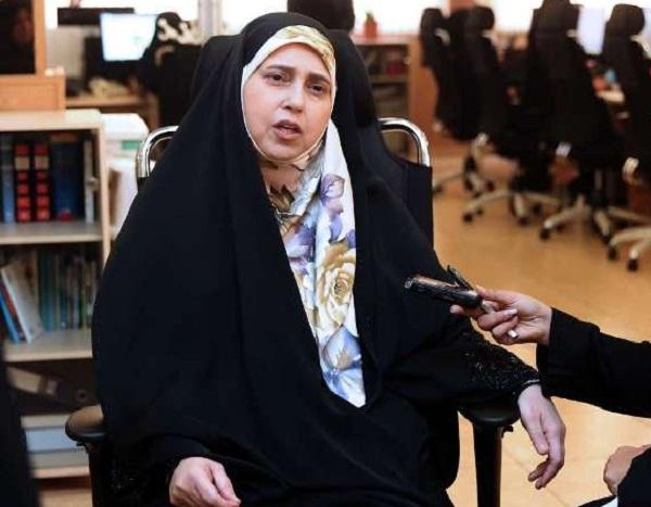 اخبار,اخبار سیاسی,پروانه سلحشوری