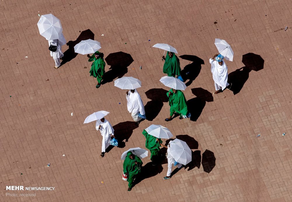 اخبار,تصاویر خبری,آماده شدن مسلمانان برای عید قربان