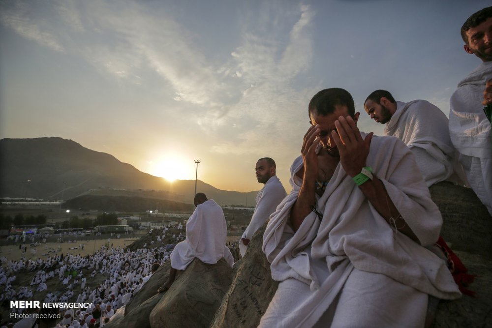 اخبار,تصاویر خبری,آماده شدن مسلمانان برای عید قربان