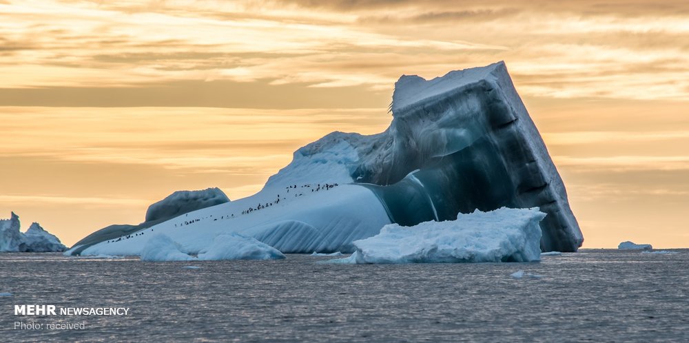 اخبار,اخبارگوناگون, تصاویری از قطب جنوب