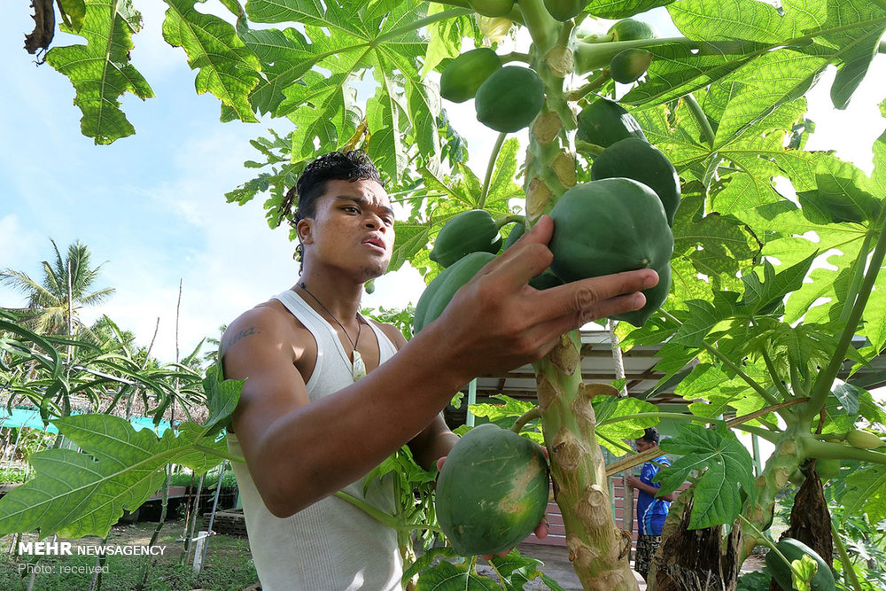 اخبار,اخبار گوناگون, کشور تووالو اخبار,اخبار گوناگون, کشور تووالو
