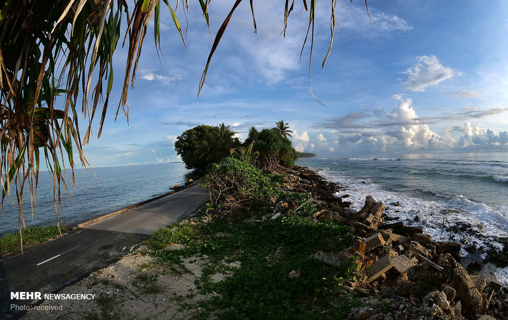 اخبار,اخبار گوناگون, کشور تووالو اخبار,اخبار گوناگون, کشور تووالو