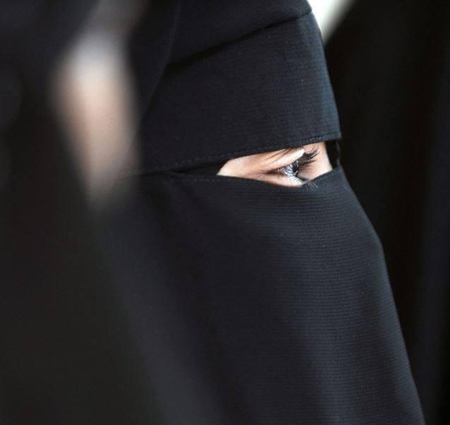 اخبار,اخبارفرهنگیی وهنری,حلا شیحا اخبار,اخبارفرهنگیی وهنری,حلا شیحا