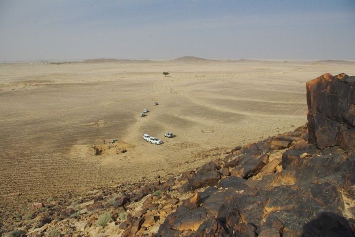 اخبارگوناگون,خبرهای گوناگون ,هوموارکتوس