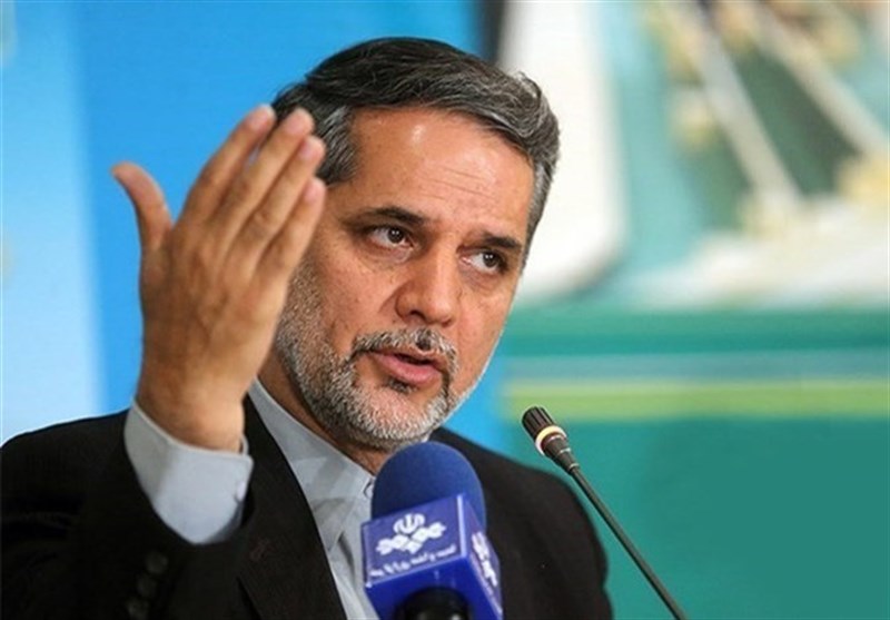 اخبار,اخبار سیاسی,نقوی حسینی