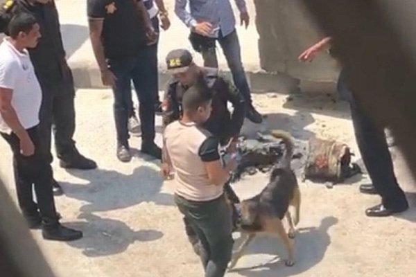 اخبار,اخبار بین الملل,وقوع انفجار مقابل سفارت آمریکا در قاهره