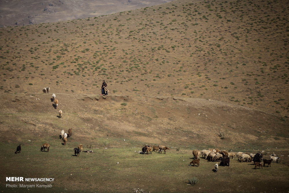 اخبار,انعکاس,زندگی عشایر کرمانج خلخال