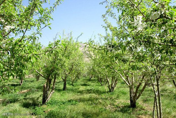 اخبار اقتصادی ,خبرهای اقتصادی , سموم اخبار اقتصادی ,خبرهای اقتصادی , سموم