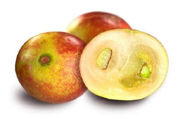 اخبار علمی,خبرهای علمی , چاقی اخبار علمی ,خبرهای علمی, چاقی