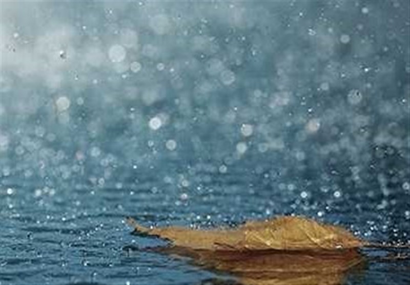 اخباراجتماعی ,خبرهای اجتماعی ,سال آبی اخبار اجتماعی ,خبرهای اجتماعی,سال آبی