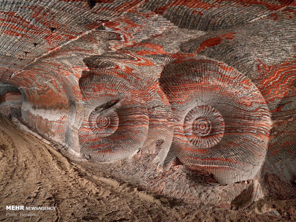 اخبار,اخبار گوناگون اخبار,اخبار گوناگون