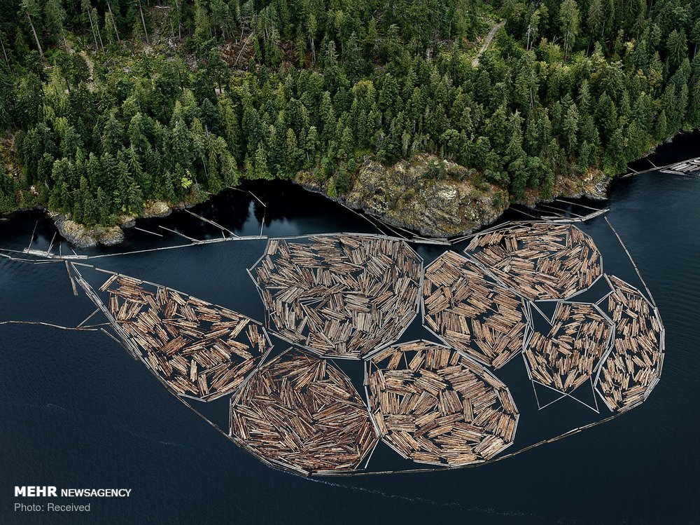 اخبار,اخبار گوناگون اخبار,اخبار گوناگون