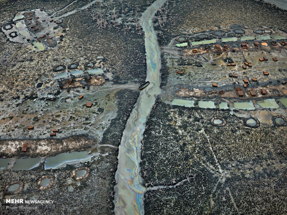 اخبار,اخبار گوناگون اخبار,اخبار گوناگون