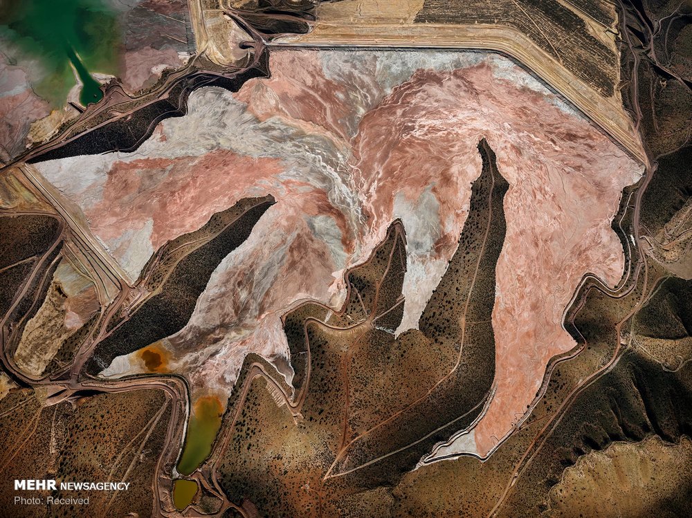 اخبار,اخبار گوناگون اخبار,اخبار گوناگون