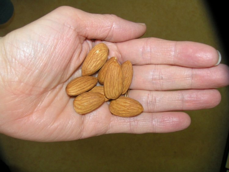 اخبار,اخبار گوناگون,وسایل مورد نیاز