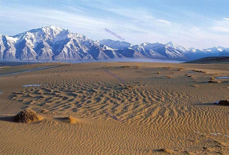 اخبار,اخبار گوناگون, بیابان طلایی وسط کوه‌های پر برف سیبری