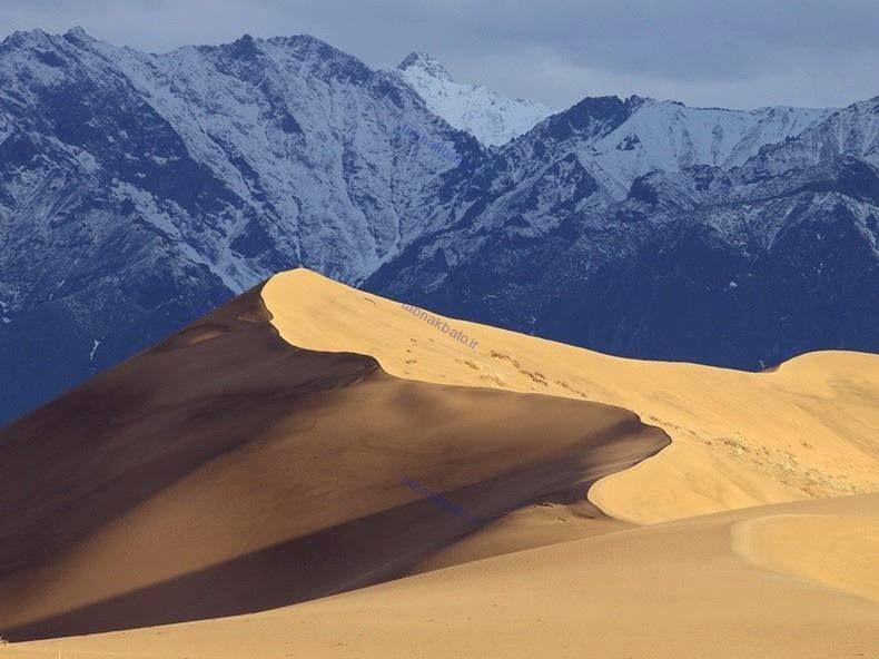 اخبار,اخبار گوناگون, بیابان طلایی وسط کوه‌های پر برف سیبری