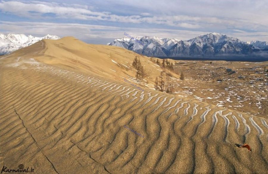 اخبار,اخبار گوناگون, بیابان طلایی وسط کوه‌های پر برف سیبری