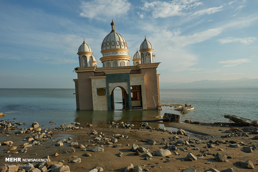 اخبار,عکس خبری,بازماندگان زلزله اندونزی