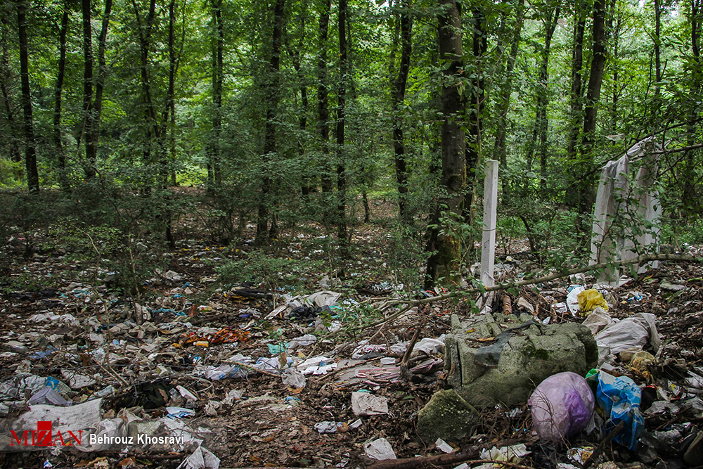 اخبار اجتماعی ,خبرهای اجتماعی,   جنگل در تسخیر زباله