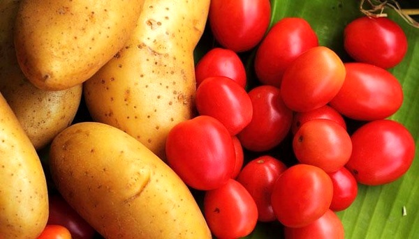 اخبار اقتصادی ,خبرهای اقتصادی , قیمت گوجه اخبار اقتصادی ,خبرهای اقتصادی , قیمت گوجه