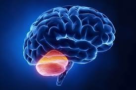 اخبار پزشکی ,خبرهای پزشکی ,اوتیسم اخبار پزشکی ,خبرهای پزشکی,اوتیسم