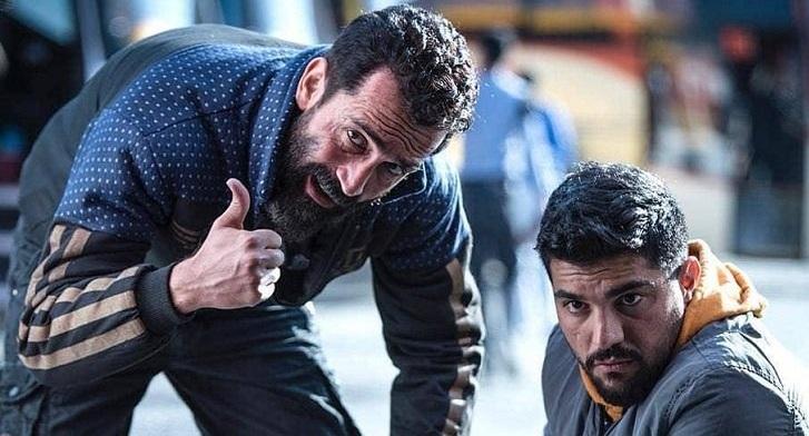 اخبار,اخبار فرهنگی وهنری,ژن خوک اخبار,اخبار فرهنگی وهنری,ژن خوک