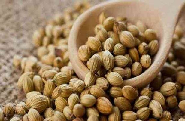 اخبار پزشکی ,خبرهای پزشکی ,تخم گشنیز اخبار پزشکی ,خبرهای پزشکی,تخم گشنیز
