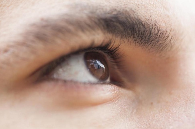 اخبار پزشکی ,خبرهای پزشکی , پیوند سلول های شبکیه اخبار پزشکی ,خبرهای پزشکی, پیوند سلول های شبکیه