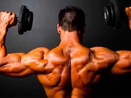 اخبار علمی,خبرهای علمی ,عضله اخبار علمی ,خبرهای علمی,عضله