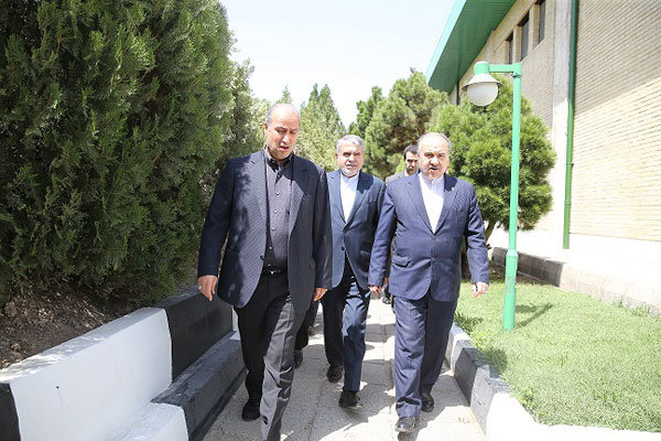 اخبارورزشی ,خبرهای ورزشی ,مهدی تاج اخبار ورزشی ,خبرهای ورزشی ,مهدی تاج