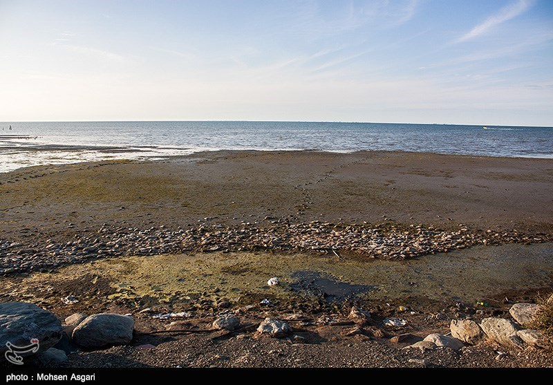  اخبار اجتماعی ,خبرهای اجتماعی,مرگ خلیج گرگان 