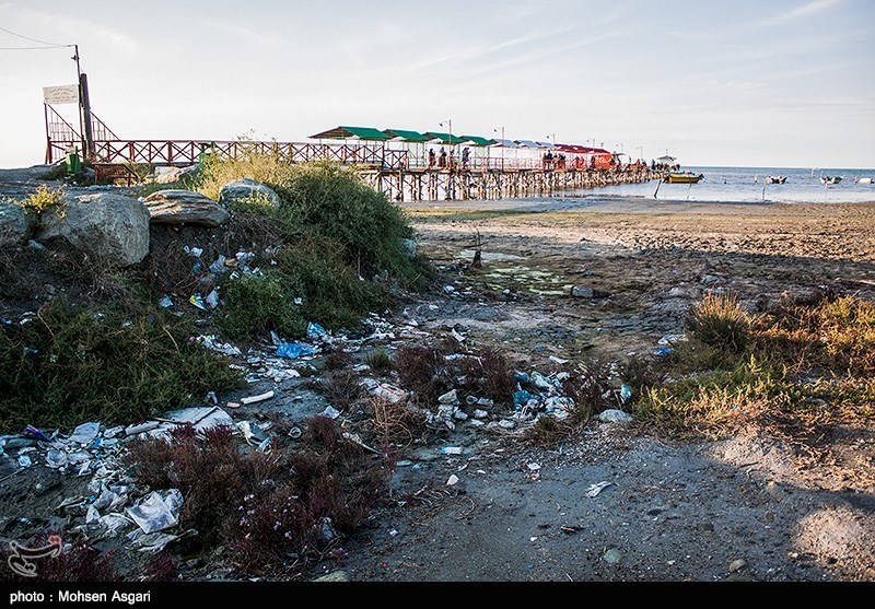  اخبار اجتماعی ,خبرهای اجتماعی,مرگ خلیج گرگان 