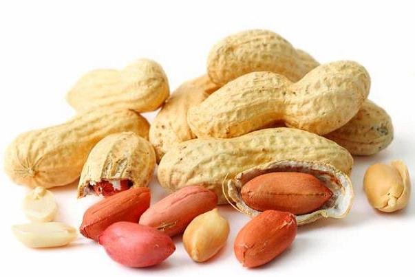 اخبار پزشکی ,خبرهای پزشکی ,بادام زمینی اخبار پزشکی ,خبرهای پزشکی,بادام زمینی