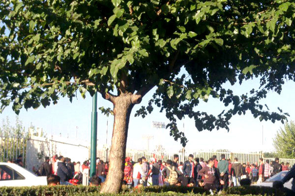 اخبارورزشی ,خبرهای ورزشی , پرسپولیس اخبار ورزشی ,خبرهای ورزشی , پرسپولیس