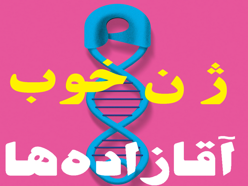 اخبار,اخبار سیاسی,آقازاده